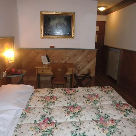 Hotel Alemagna 3*