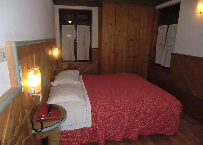 Hotel Alemagna 3*