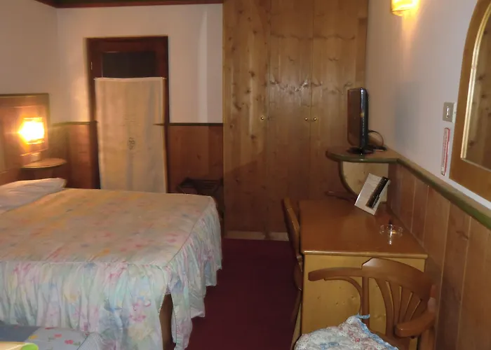 Hotel Alemagna 3*